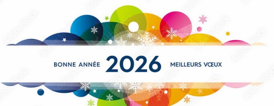 bonne_annee.jpg